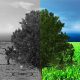 ecodiseño
